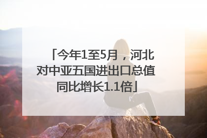 今年1至5月，河北对中亚五国进出口总值同比增长1.1倍