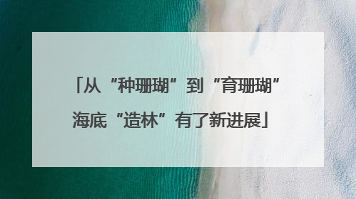 从“种珊瑚”到“育珊瑚” 海底“造林”有了新进展