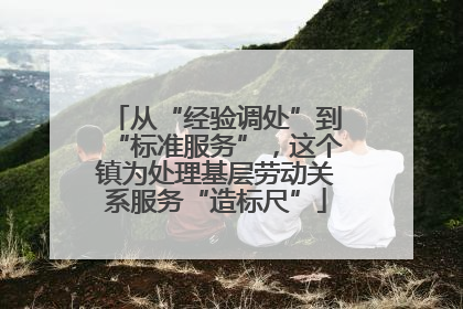 从“经验调处”到“标准服务”，这个镇为处理基层劳动关系服务“造标尺”