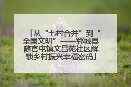 从“七村合并”到“全国文明”——郓城县随官屯镇文昌苑社区解锁乡村振兴幸福密码