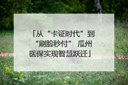 从“卡证时代”到“刷脸秒付” 瓜州医保实现智慧跃迁
