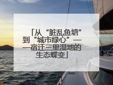 从“脏乱鱼塘”到“城市绿心”——宿迁三里湿地的生态蝶变