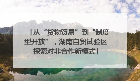 从“货物贸易”到“制度型开放”，湖南自贸试验区探索对非合作新模式