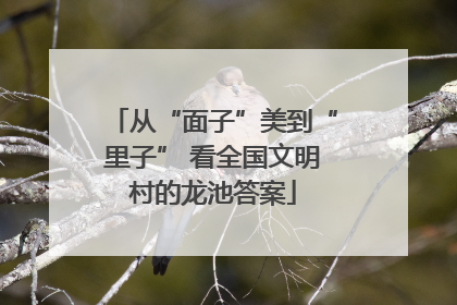 从“面子”美到“里子” 看全国文明村的龙池答案