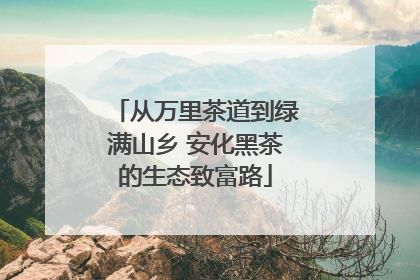 从万里茶道到绿满山乡 安化黑茶的生态致富路