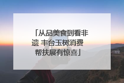 从品美食到看非遗 丰台玉树消费帮扶展有惊喜