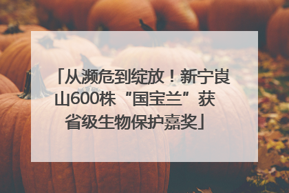 从濒危到绽放！新宁崀山600株“国宝兰”获省级生物保护嘉奖