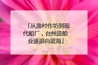 从渔村作坊到现代船厂，台州造船业逐浪向蓝海