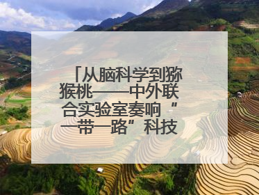 从脑科学到猕猴桃——中外联合实验室奏响“一带一路”科技合作交响曲