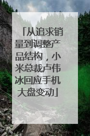 从追求销量到调整产品结构，小米总裁卢伟冰回应手机大盘变动