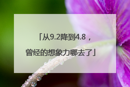 从9.2降到4.8，曾经的想象力哪去了