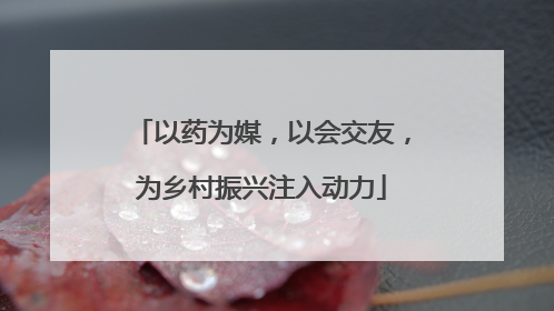 以药为媒，以会交友，为乡村振兴注入动力
