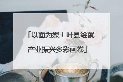 以面为媒！叶县绘就产业振兴多彩画卷