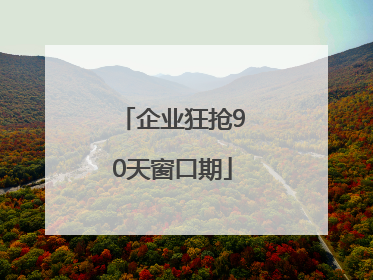 企业狂抢90天窗口期