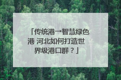 传统港→智慧绿色港 河北如何打造世界级港口群？