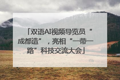 双语AI视频导览员“成都造”，亮相“一带一路”科技交流大会