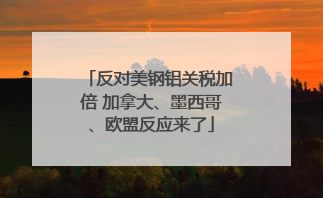 反对美钢铝关税加倍 加拿大、墨西哥、欧盟反应来了