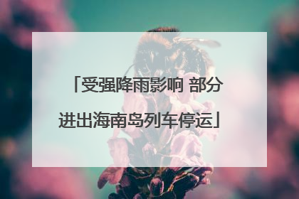 受强降雨影响 部分进出海南岛列车停运