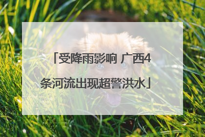 受降雨影响 广西4条河流出现超警洪水