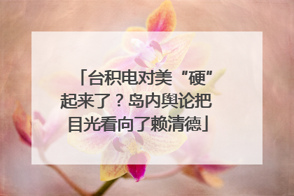 台积电对美“硬”起来了？岛内舆论把目光看向了赖清德