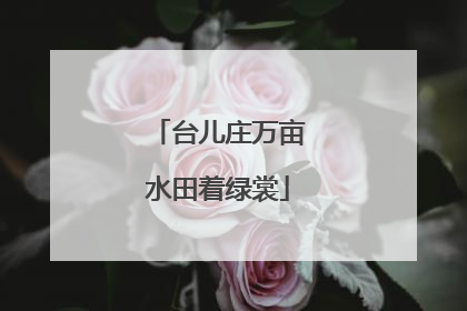 台儿庄万亩水田着绿裳