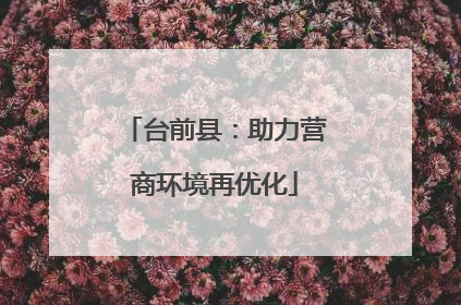 台前县：助力营商环境再优化