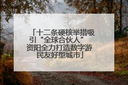 十二条硬核举措吸引“全球合伙人” 资阳全力打造数字游民友好型城市