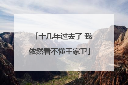 十几年过去了 我依然看不懂王家卫