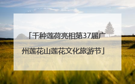 千种莲荷亮相第37届广州莲花山莲花文化旅游节