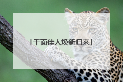 千面佳人焕新归来