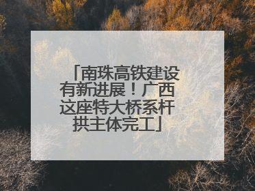 南珠高铁建设有新进展！广西这座特大桥系杆拱主体完工