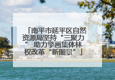 南平市延平区自然资源局坚持“三聚力” 助力擎画集体林权改革“新图景”