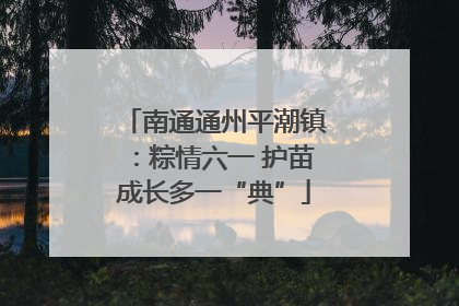 南通通州平潮镇：粽情六一 护苗成长多一“典”