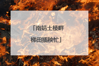 南靖土楼畔 梯田插秧忙