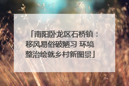 南阳卧龙区石桥镇：移风易俗破陋习 环境整治绘就乡村新图景