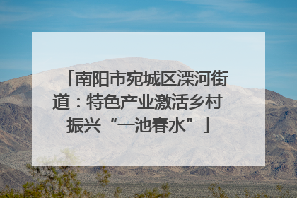 南阳市宛城区溧河街道：特色产业激活乡村振兴“一池春水”