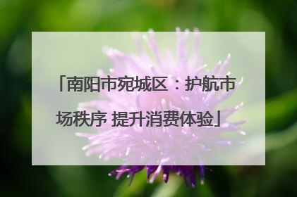 南阳市宛城区：护航市场秩序 提升消费体验