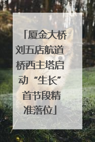 厦金大桥刘五店航道桥西主塔启动“生长” 首节段精准落位