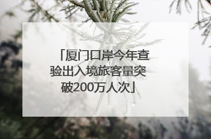 厦门口岸今年查验出入境旅客量突破200万人次