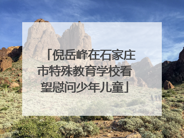 倪岳峰在石家庄市特殊教育学校看望慰问少年儿童