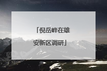 倪岳峰在雄安新区调研