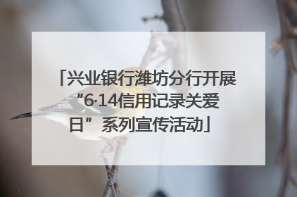 兴业银行潍坊分行开展“6·14信用记录关爱日”系列宣传活动