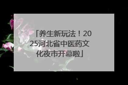 养生新玩法！2025河北省中医药文化夜市开幕啦