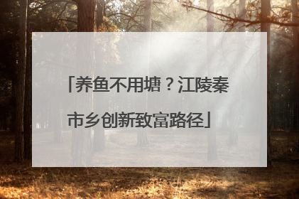 养鱼不用塘？江陵秦市乡创新致富路径