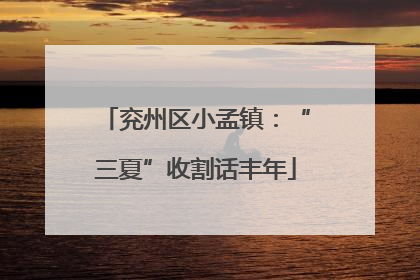 兖州区小孟镇：“三夏”收割话丰年