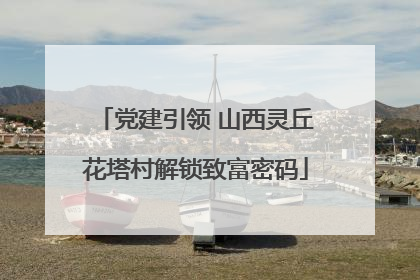 党建引领 山西灵丘花塔村解锁致富密码