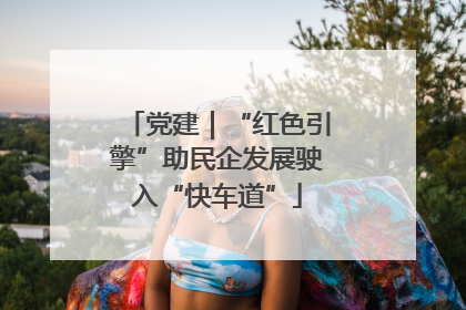 党建｜“红色引擎”助民企发展驶入“快车道”