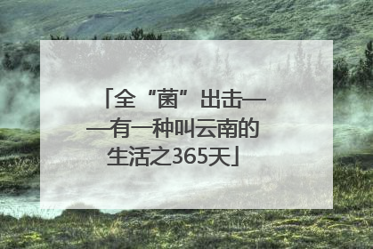 全“菌”出击——有一种叫云南的生活之365天