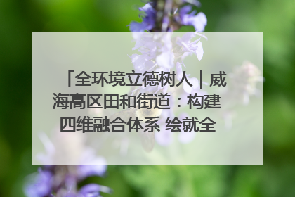 全环境立德树人｜威海高区田和街道：构建四维融合体系 绘就全环境立德树人新画卷