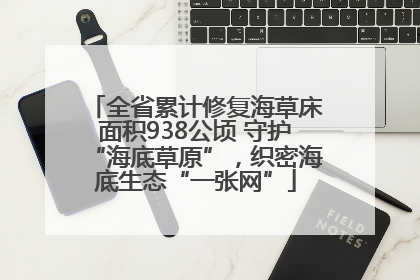 全省累计修复海草床面积938公顷 守护“海底草原”，织密海底生态“一张网”